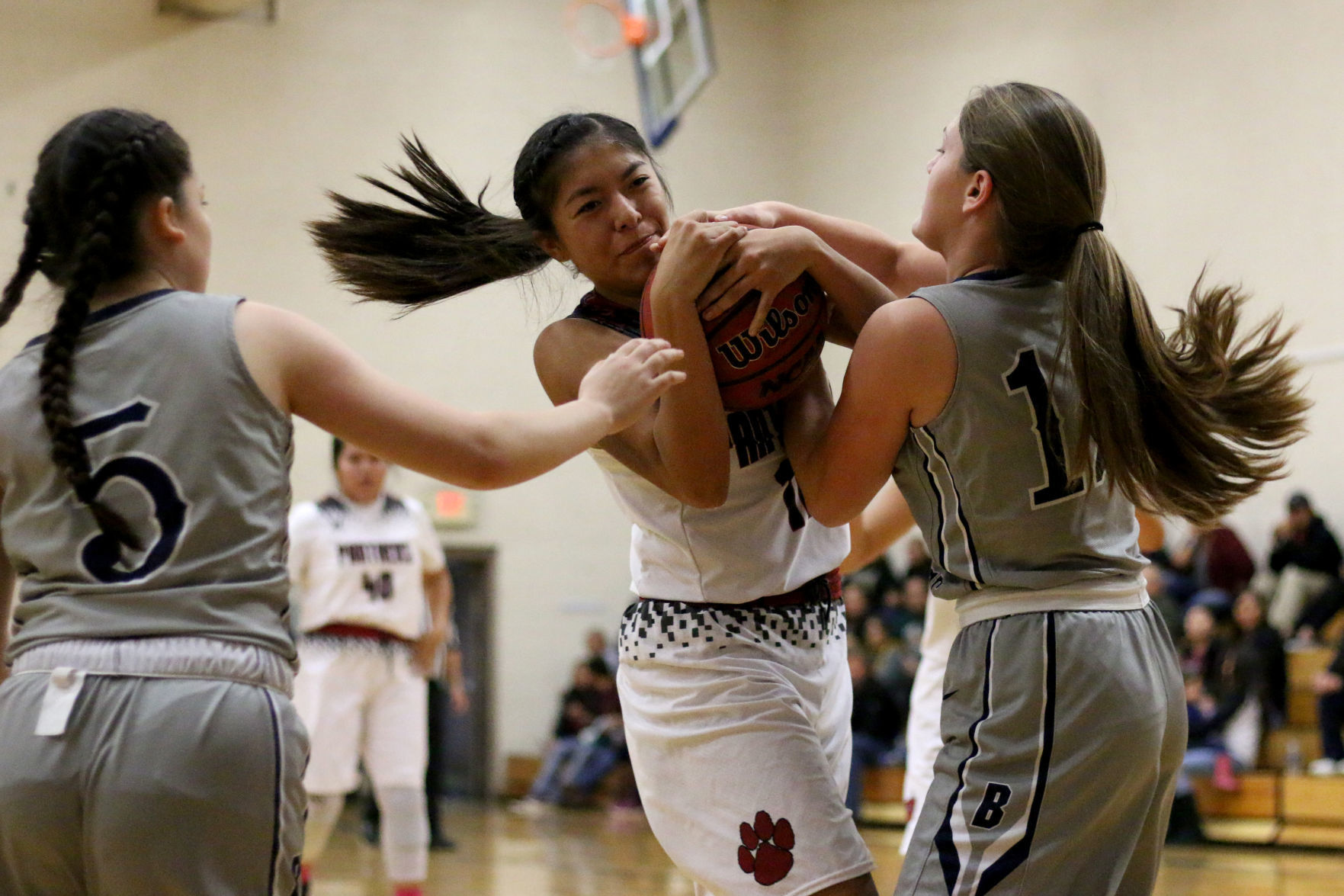 Coconino Basketball